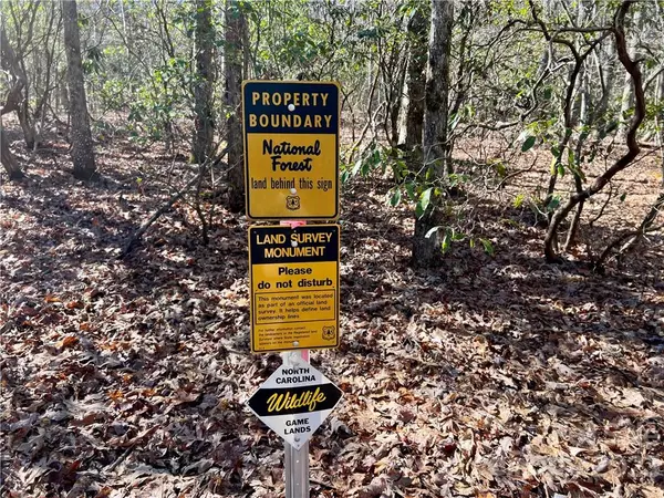 Rosman, NC 28772,299 Old Parker RD