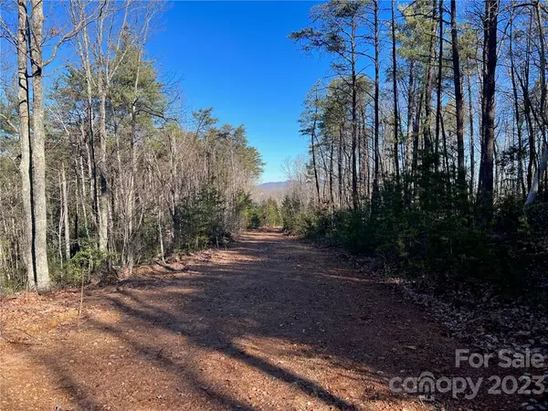 Taylorsville, NC 28681,0 Taylorsville RD #Tract 2