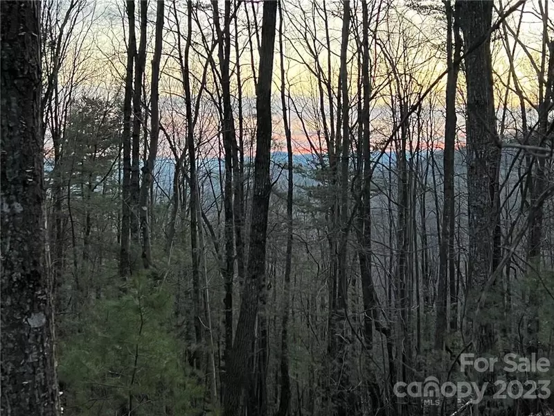 0 Taylorsville RD #Tract 1, Taylorsville, NC 28681