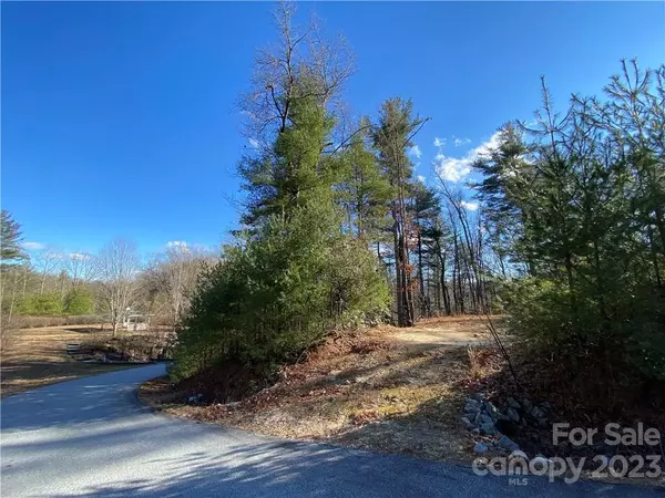 Zirconia, NC 28790,00000 Old Mt Olivet RD #6