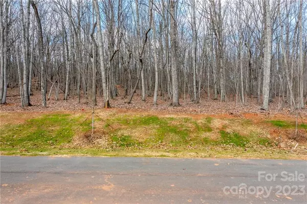 Lincolnton, NC 28092,Lot #3 Brancer LN