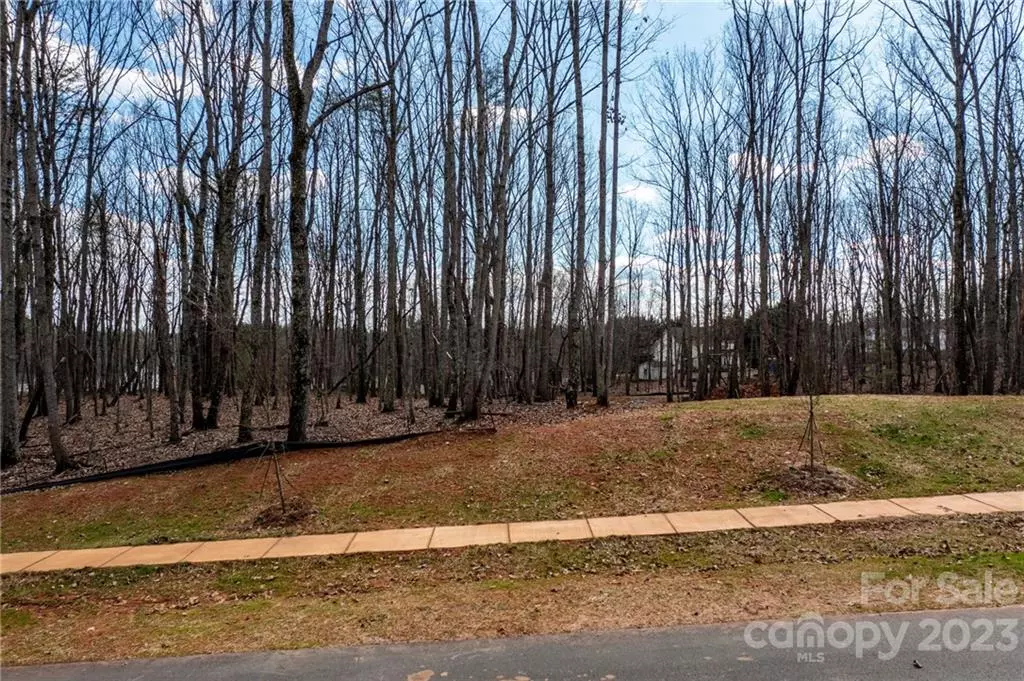 Lincolnton, NC 28092,Lot #16 Brancer LN