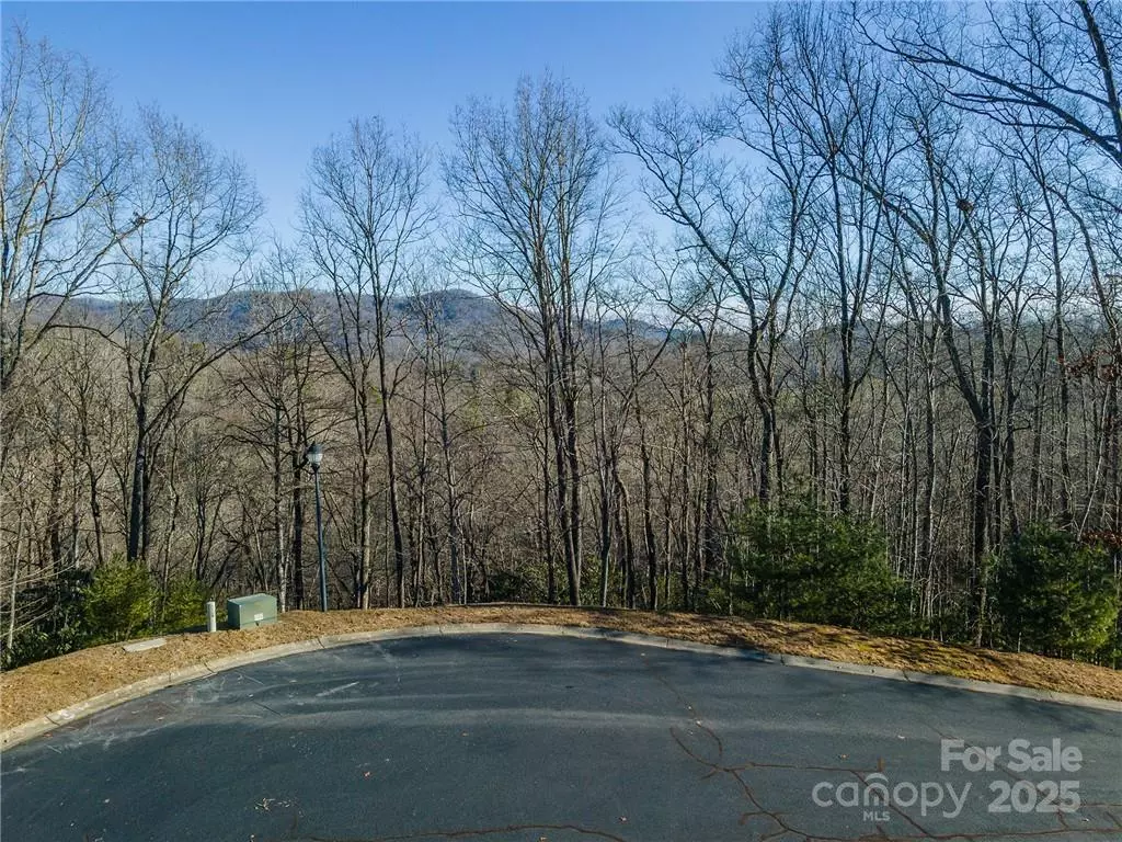 Horse Shoe, NC 28742,80 Buckhead TRL #27