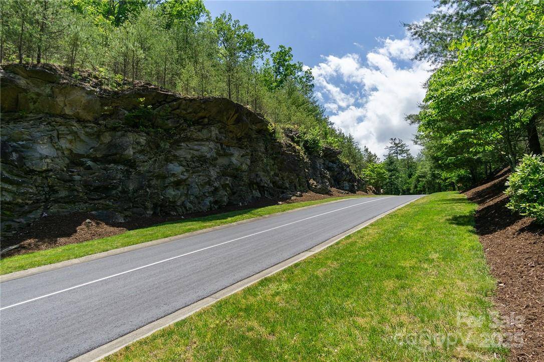 Horse Shoe, NC 28742,80 Buckhead TRL #27