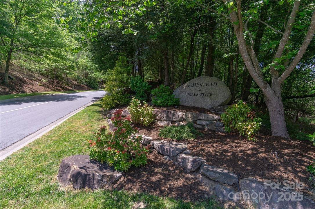 Horse Shoe, NC 28742,80 Buckhead TRL #27