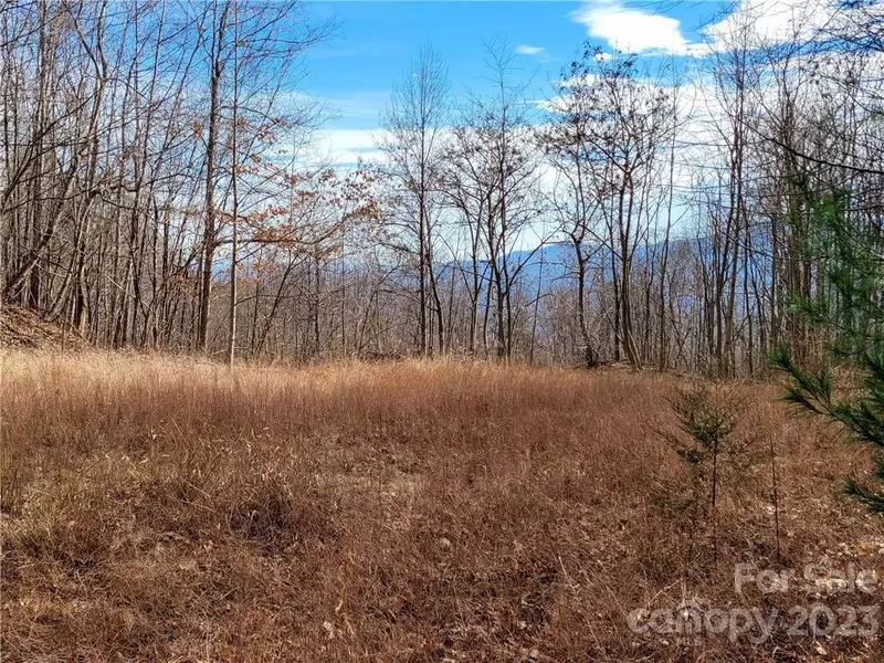 LOT 198 Cherry HL, Mill Spring, NC 28756