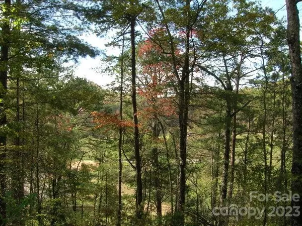 Lot 7 Martins RUN, Bryson City, NC 28713