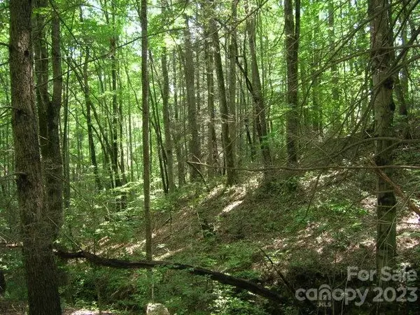 Lot 19 Sunkota TRL, Bryson City, NC 28713