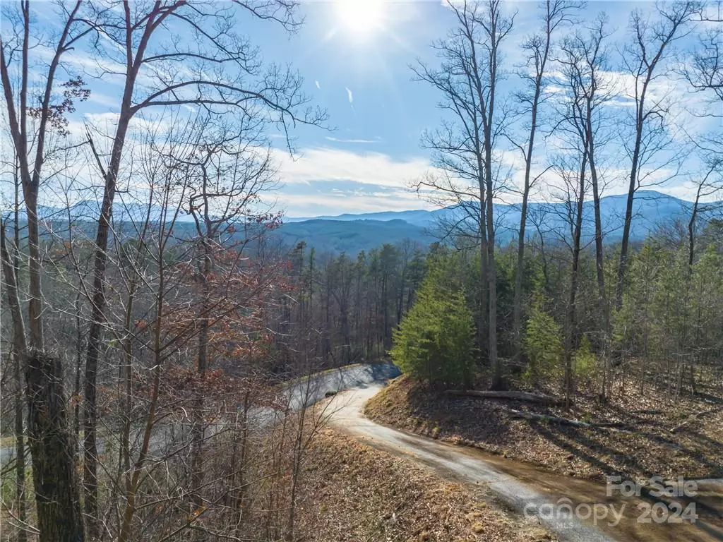 Lake Lure, NC 28746,00 Rock Ledge DR #223