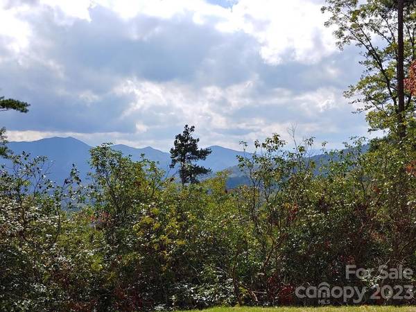 Lot 42 The Knoll None, Bryson City, NC 28713