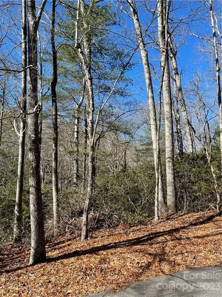 Lot #10 Renea DR, Brevard, NC 28712