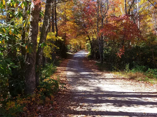 Balsam Grove, NC 28708,L2A and L2B Johnny's Creek RD