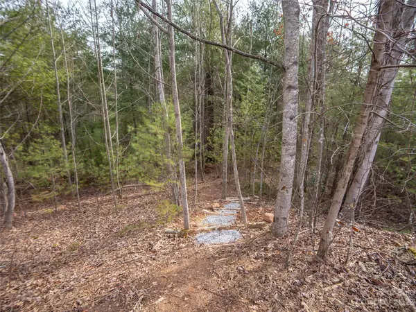 Asheville, NC 28803,9999 Cedar Hill DR #12