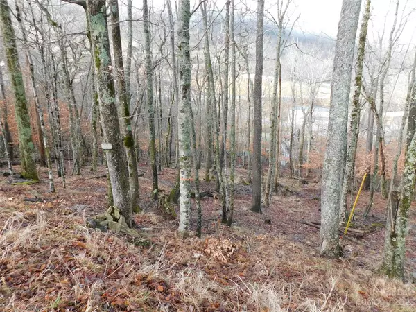 Beech Mountain, NC 28604,TBD Skiview LN #6