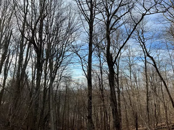 Mars Hill, NC 28754,TBD Wolf Ridge RD #7