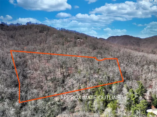 Zirconia, NC 28790,4.17 Acres Spruce LN #28