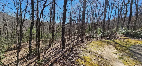 Zirconia, NC 28790,4.17 Acres Spruce LN #28