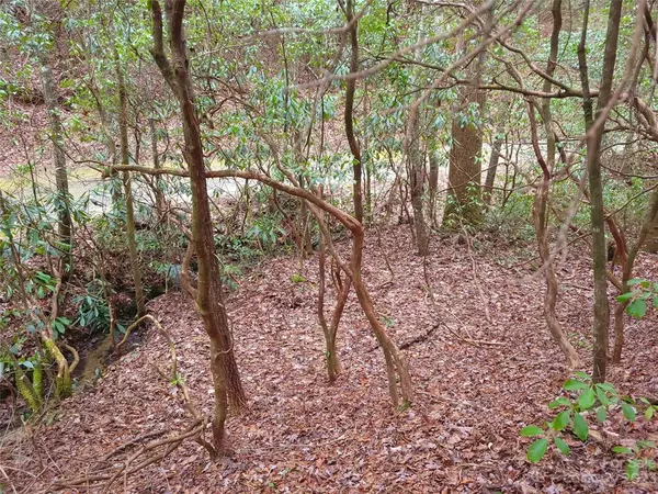 Brevard, NC 28712,0000 Double Creek DR #L-14