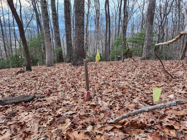 Pisgah Forest, NC 28768,Lot 2 Paisley LN #Lot 2