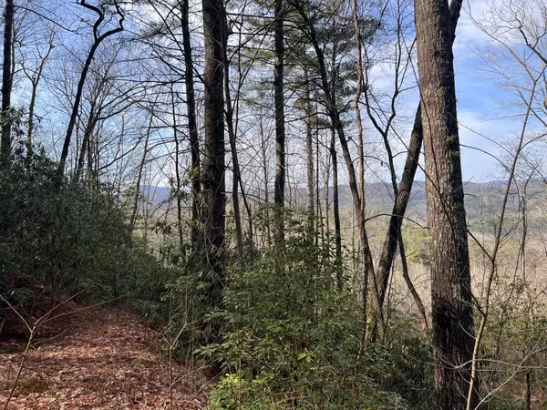 Brevard, NC 28712,TBD Birch LN #34