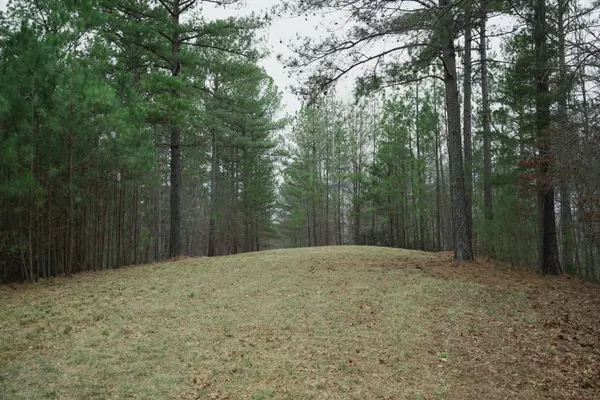 Mill Spring, NC 28756,Lot 13 Forest Hills DR