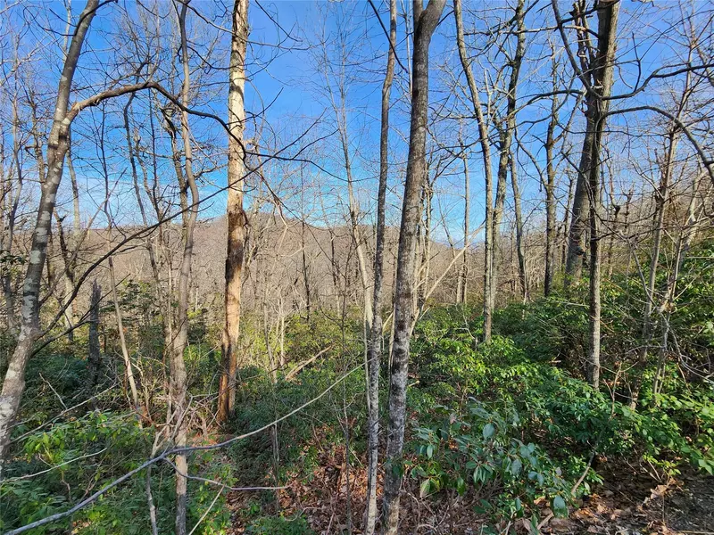 Lot 22 Sunset Ridge DR #22, Columbus, NC 28722