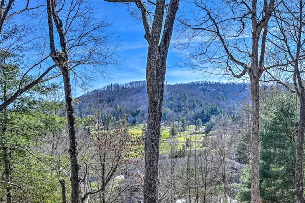 Flat Rock, NC 28731,102 Sunny View LN