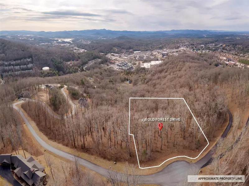 138 Old Forest DR, Asheville, NC 28803