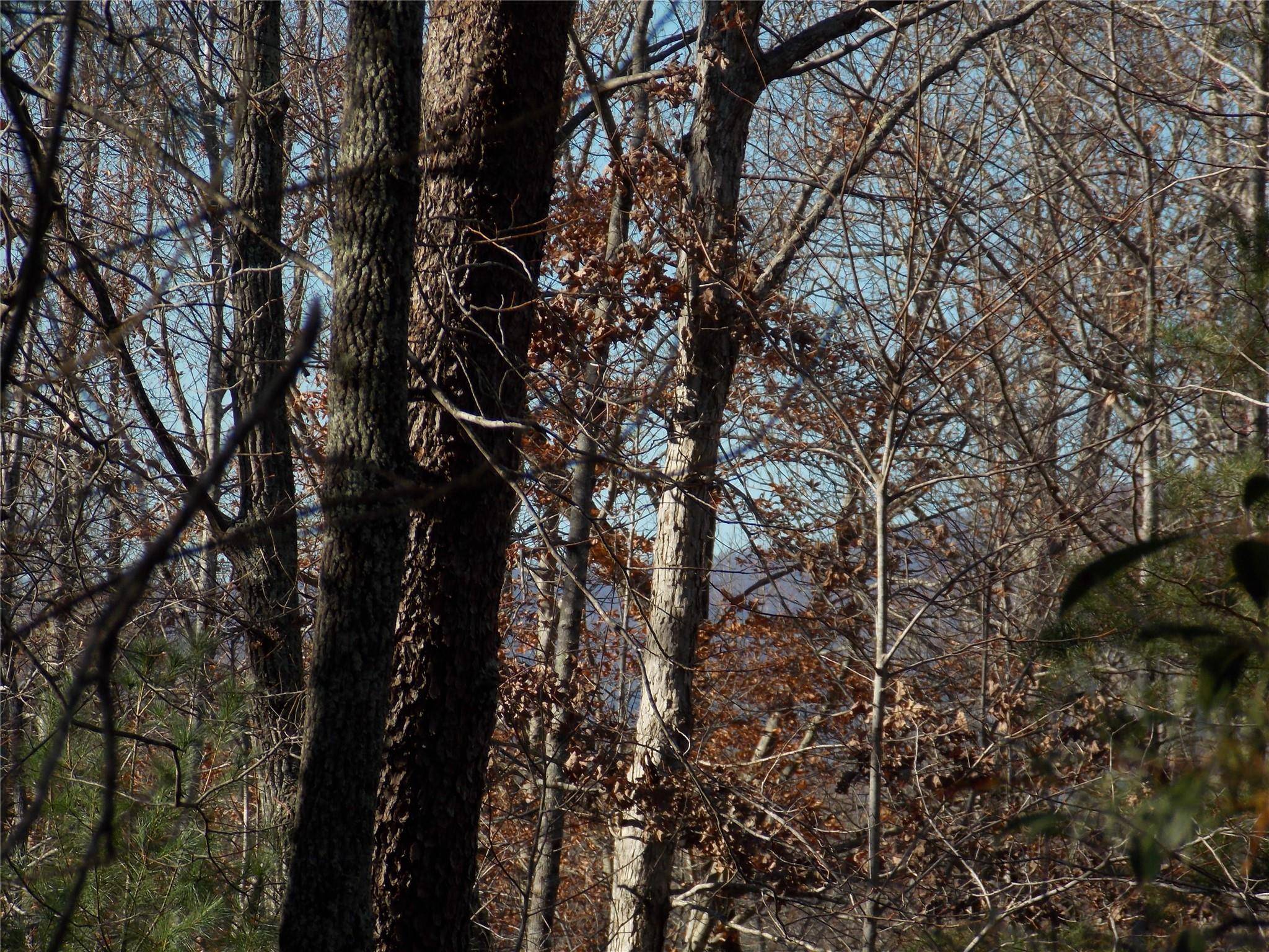 Lake Toxaway, NC 28747,TBD Raynolds RDG