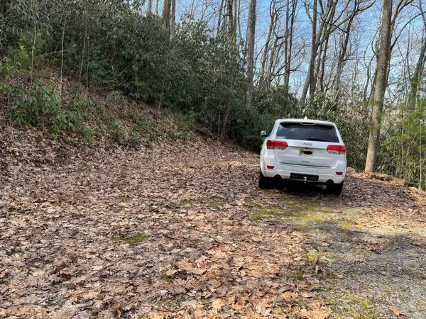 Fairview, NC 28730,9999 Garren Creek RD