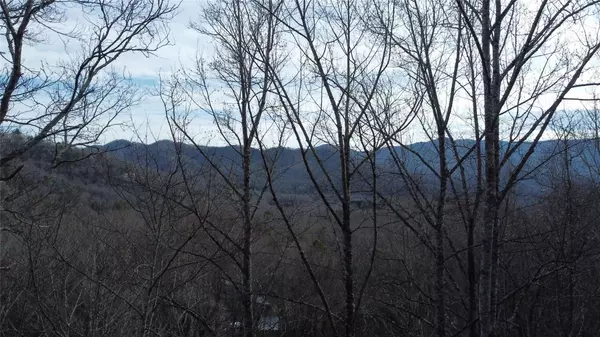 Black Mountain, NC 28711,0000 Lookout Terrace RD