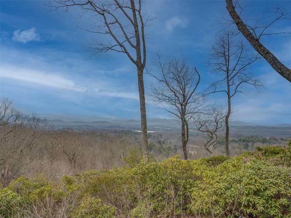 Hendersonville, NC 28791,615 Rugby View PL