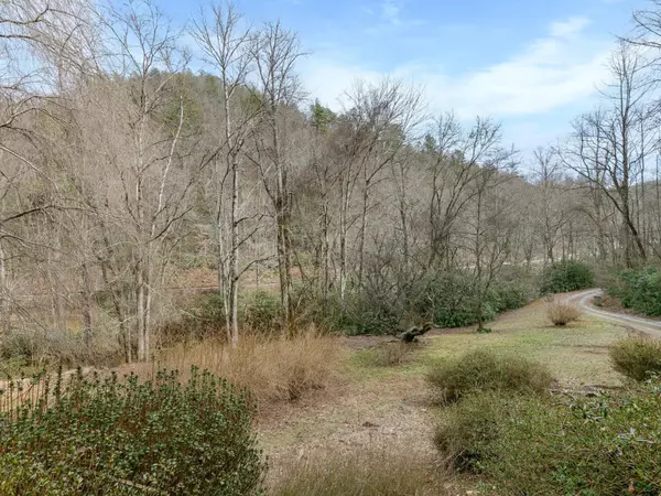 Rosman, NC 28772,240 Forks of the River RD