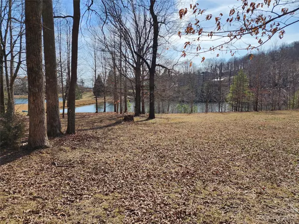 Columbus, NC 28722,Lot 77 Three Bridges DR