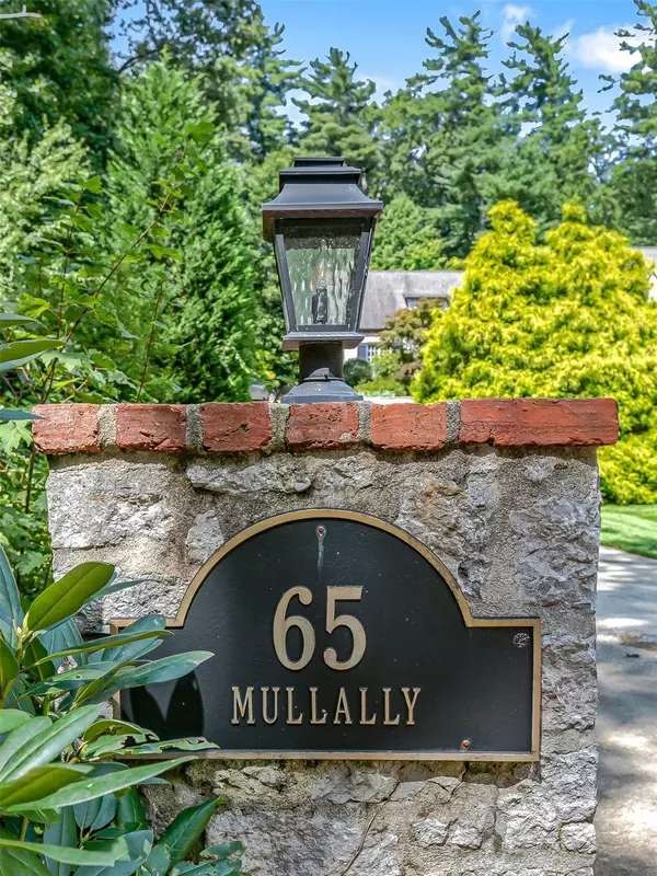 Flat Rock, NC 28731,65 Mullally DR