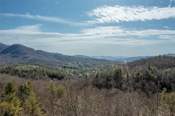 Bakersville, NC 28705,000 Robinhood WAY