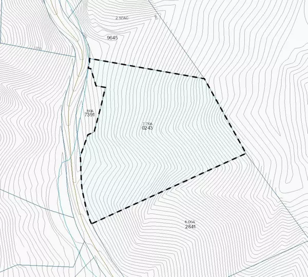 Lake Toxaway, NC 28747,TBD Diamond Creek RD