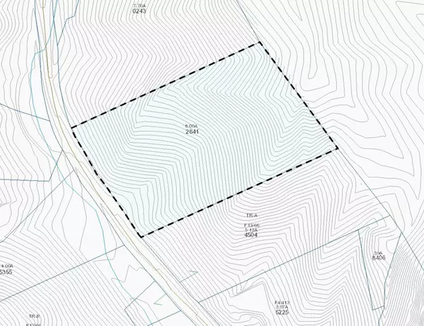Lake Toxaway, NC 28747,TBD Diamond Creek RD