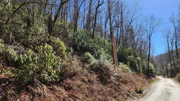 Lake Toxaway, NC 28747,TBD Diamond Creek RD