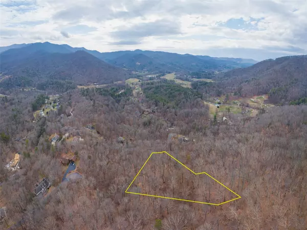 Weaverville, NC 28787,255 Hawks Crest LN