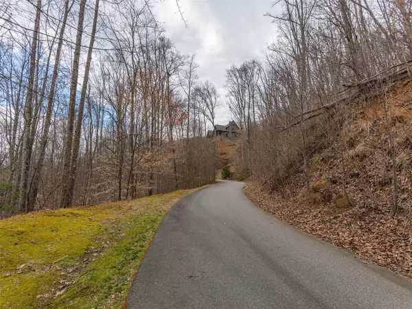 Weaverville, NC 28787,255 Hawks Crest LN