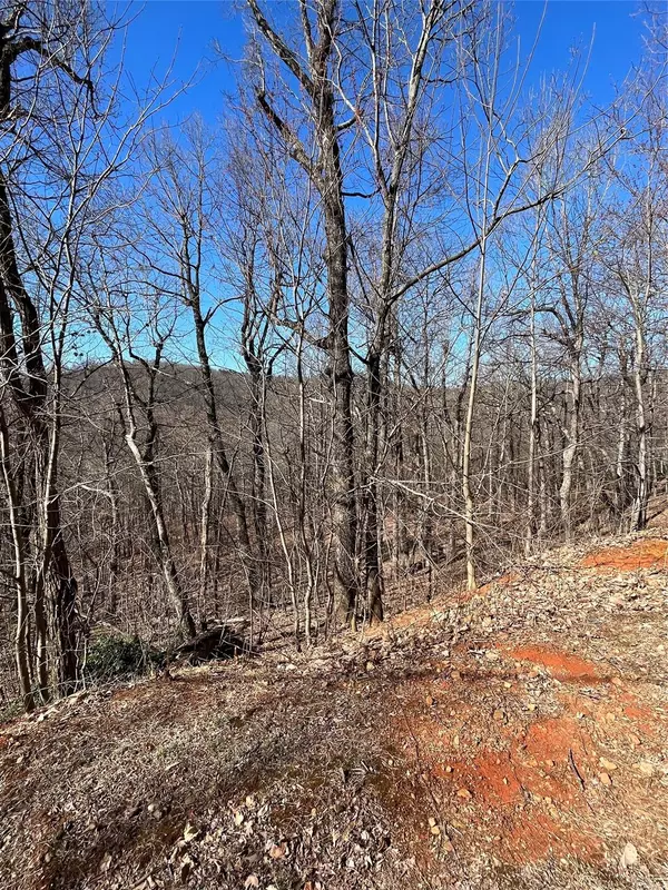 Columbus, NC 28722,000 Morning Ride RD #35