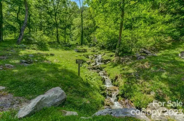 Leicester, NC 28748,580 Freemont DR #80