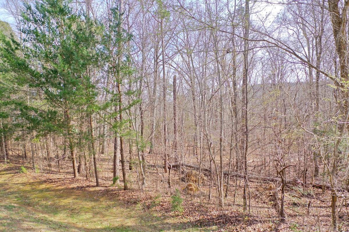 Lexington, NC 27292,314 Harbor DR E #21