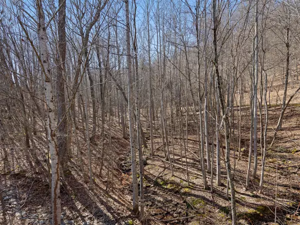 Arden, NC 28704,312 Boundary Tree Pass None