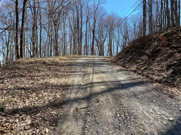 Mars Hill, NC 28754,Lot 166 Puncheon LN