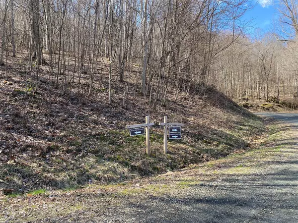 Bakersville, NC 28705,Lot III Bear Springs RD