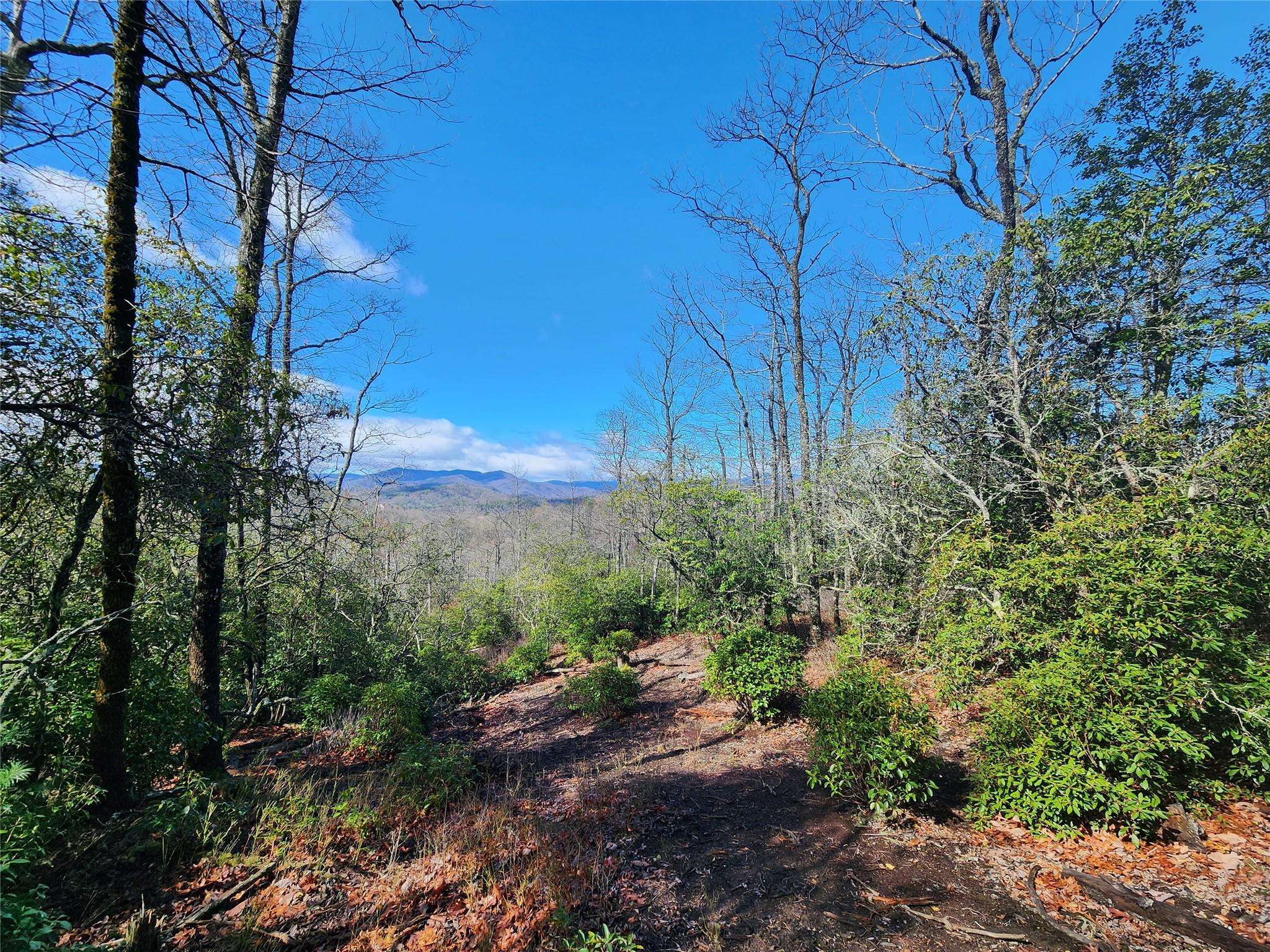 Pisgah Forest, NC 28768,TBD Laureldale RD #14R