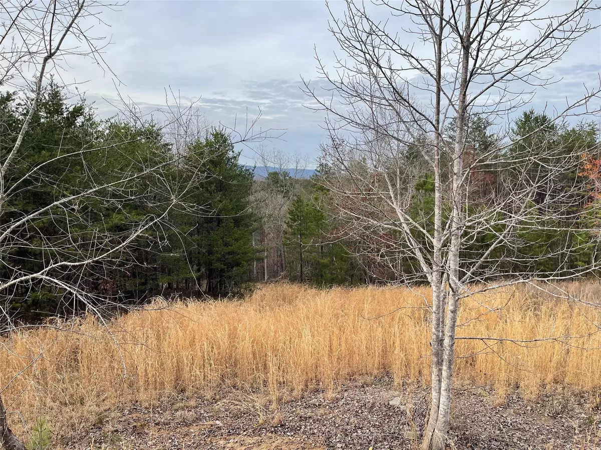 Rutherfordton, NC 28139,262 DELIVERANCE WAY