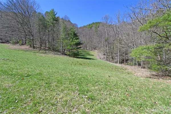 Hot Springs, NC 28743,1126 Bluff Mountain RD